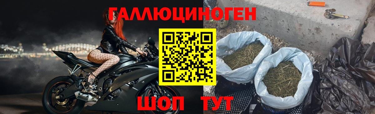 Новоалтайск  Псилоцибиновые грибы мухоморы  Вход с VPN 